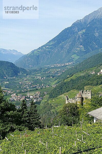 Blick auf Algund mit Schloss Brunnenburg  Etschtal  Südtirol  Italien  Europa