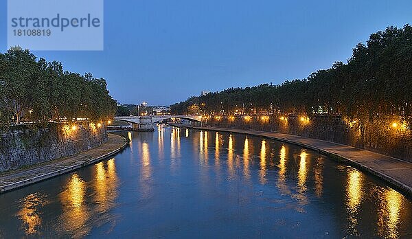 Tiber  Ponte Garibaldi  Rom  Italien  Europa