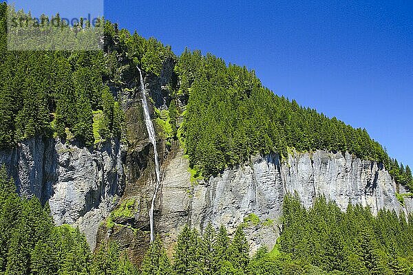 Wasserfall  Rosenlauital  Berner Oberland  Schweiz  Europa