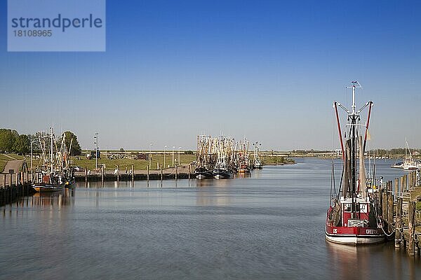 Krabbenkutter im Hafen  Greetsiel  Leybucht  Krummhörn  Ostfriesland  Niedersachsen  Deutschland  Europa