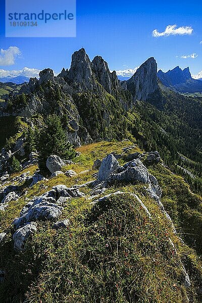 Gastlosen  Freiburger Voralpen  Greyerzerland  Schweiz  Europa