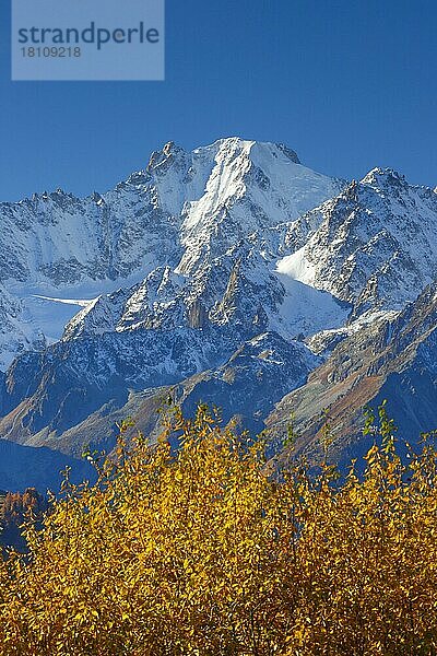 Aguille Verte  Aguille d'Argentiere  3901m  Frankreich  Europa