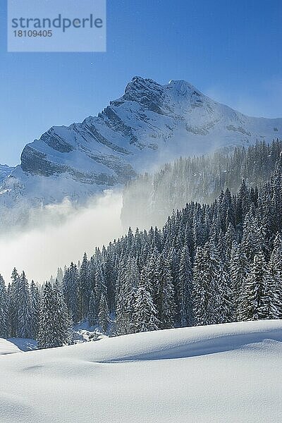 Ortstock  Glarner Alpen  Schweiz  Europa