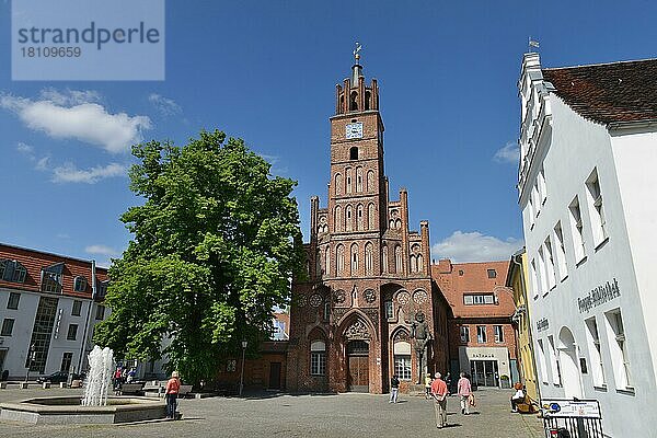 Rathaus  Altstädtischer Markt  Brandenburg an der Havel  Brandenburg  Deutschland  Europa