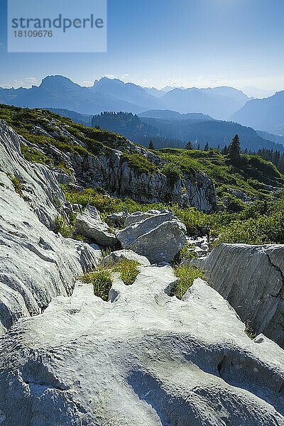 Karstlandschaft am Pragelpass  Schwyz  Schweiz  Europa