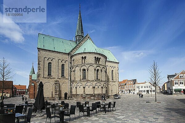 Domkirche  Ribe  Dänemark  Europa