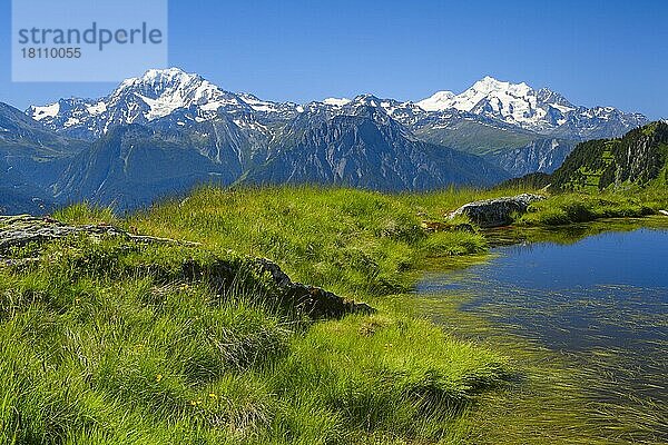 Schweizer Alpen  Mischabelgruppe  Blick von Huhfluh  Wallis  Schweiz  Europa