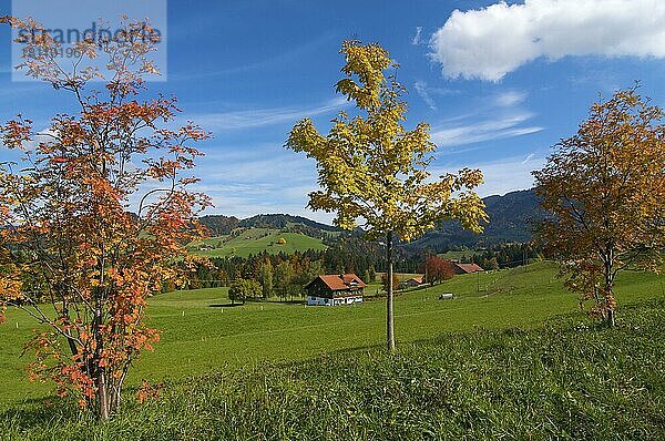 Bauernhof bei Oberstaufen  Allgäu  Bayern  Deutschland  Europa