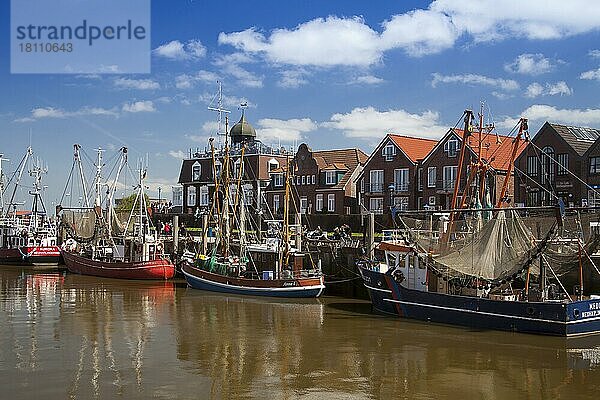 Krabbenkutter im Hafen von Neuharlingersiel  Ostfriesland  Niedersachsen  Deutschland  Europa