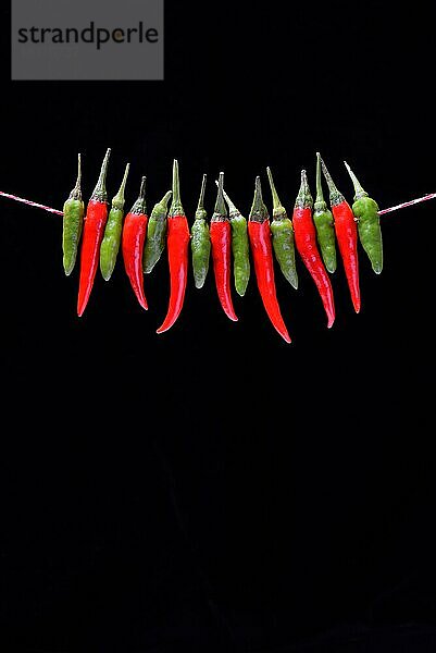 Pfefferschoten  (Capsicum frutescens)  Peperoni  Chilischoten  Chilischote  Pfefferschote  Chili  Cayenne  Cayennepfeffer  Piri-Piri  Tabasco  Peperoncini