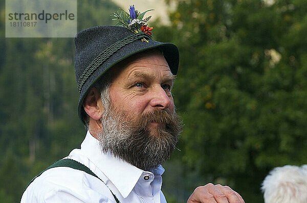 Viehscheid in Bad Hindelang  Allgäu  Bayern  Deutschland  Europa