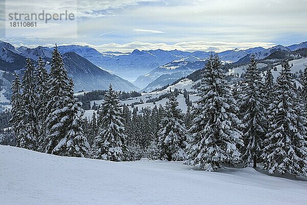 Aussicht vom Jaunpass  Berner Oberland  Schweiz  Europa