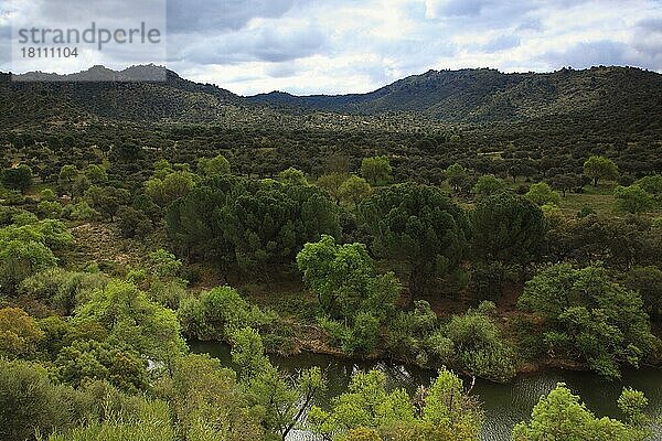 Rio Jandula  Nationalpark Sierra de Andujar  Provinz Jaon  Andalusien  Spanien  Europa