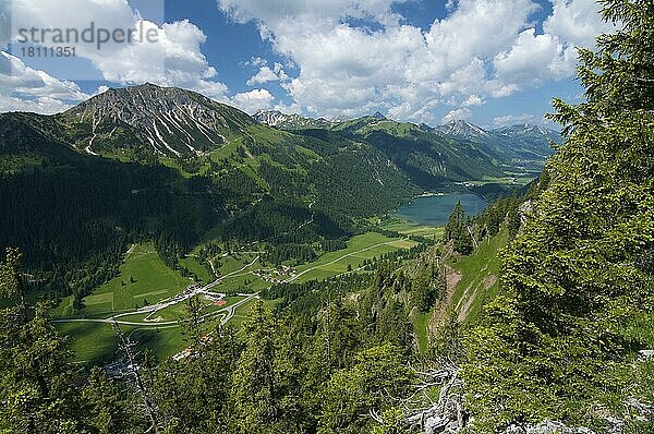 Haldensee  Tannheimer Tal  Tirol  Österreich  Europa