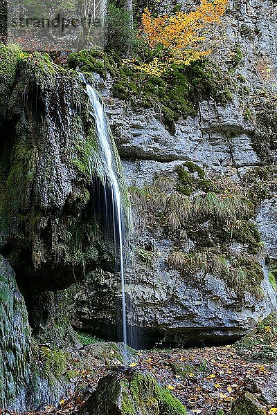 Wutachschlucht  bemooste Felswand mit Wasserfall  Wutach  Naturschutzgebiet  Schwarzwald  Naturpark Südschwarzwald  Hochschwarzwald  Baden-Württemberg  Deutschland  Europa