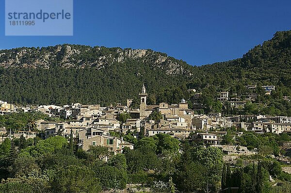 Valldemossa  Valdemosa  Mallorca  Mallorca  Balearische Inseln  Spanien  Europa