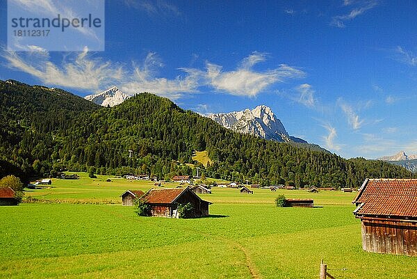 Wiesen  Berge Waxensteine und Alpspitze  Wettersteingebirge  Garmisch-Partenkirchen  Bayern  Deutschland  Europa