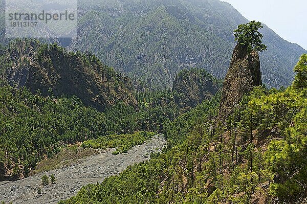 Parque Nacional de la Caldera de Taburiente  La Palma  Kanarische Inseln  Spanien  Europa