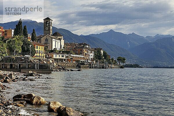 Promenade  Brissago  Lago Maggiore  Tessin  Langensee  Ticino  Schweiz  Europa