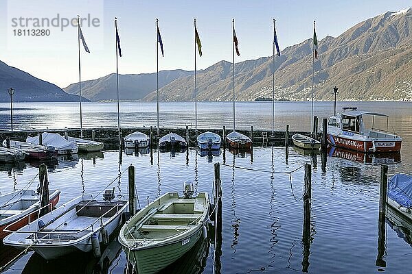 Alter Hafen  Lago Maggiore  Ascona  Tessin  Ticino  Langensee  am frühen Morgen  Schweiz  Europa