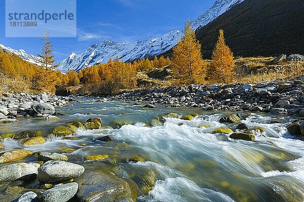 Fluss Lonza mit Aletschhorn und Schinhorn  Wallis  Schweiz  Europa