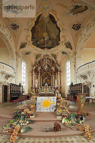 Innenansicht mit Altar von barocken prunkvollen St. Martin Kirche während Erntedankfest  Erntedank  Erntefest  Gemüse  Obst  christlich  Tradition  Dekoration  schmücken  Riegel  Kaiserstuhl  Breisgau  Baden-Württemberg  Deutschland  Europa