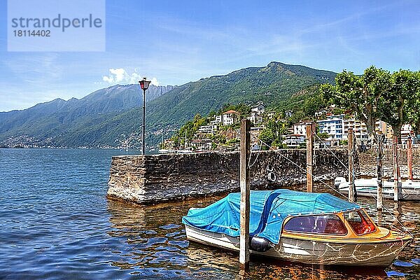 Alter Hafen  Lago Maggiore  Ascona  Locarno  Kanton Tessin  Langensee  Ticino  Schweiz  Europa