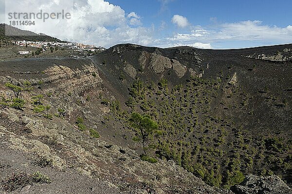 Caldera des Vulkans von San Antonio  Los Canarios  Fuencaliente  La Palma  Spanien  Europa