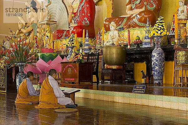 Mönche beten vor Buddha-Statuen  Linh An Thu Pagode  Dalat  Vietnam  Asien