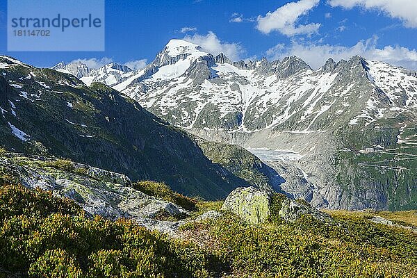 Galenstock  3586 m  Rhone-Gletscher  Uri  Schweiz  Europa