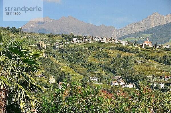 Dorf Tirol  Texelgruppe  Vinschgau  Südtirol  Italien  Europa