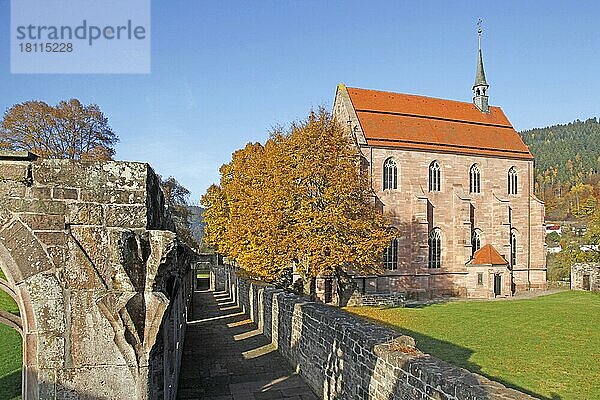 Kloster Hirsau  Ruinen  Kreuzgang  Marienkapelle  Calw  Stadtteil Hirsau  Baden-Württemberg  Deutschland  Europa