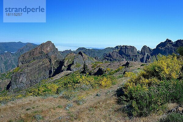 Berglandschaft am Pico de Arieiro (1818m)  Wanderweg  Madeira  Portugal  Europa