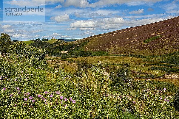 Highlands  Aberdeenshire  Schottland  UK