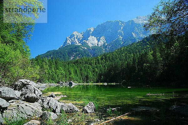 Bergsee  Gebirge  Sommer  Landidylle  Alpenland  Zugspitze  Oberbayern  Frillensee  Deutschland  Europa