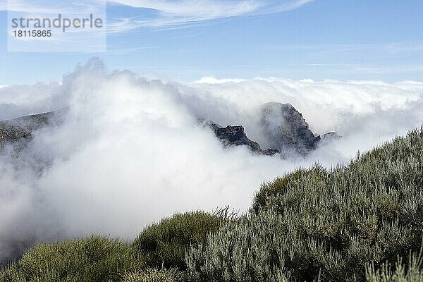 Wolken in Caldera de Taburiente  Roque de los Muchachos  Tijarafe  La Palma  Spanien  Europa