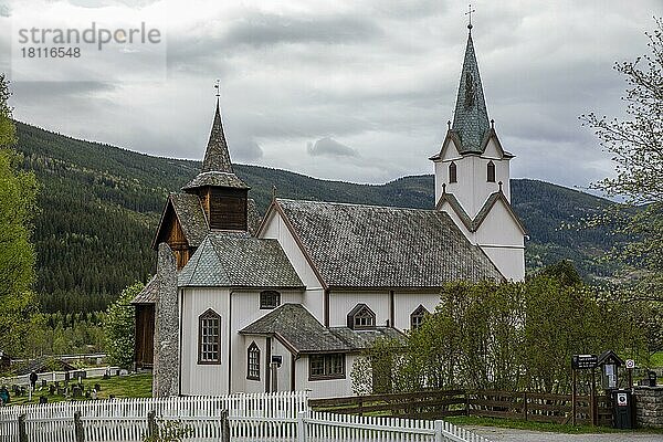 Torpo Stabkirche  Torpo  Buskerud  Norwegen  Europa