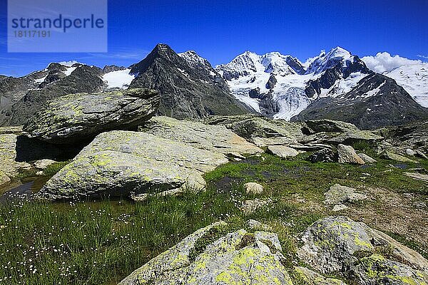 Piz Tschierva  3546 m  Piz Bernina  4049 m  Biancograt  Piz Roseg  3937 m  Graubünden  Schweiz  Europa