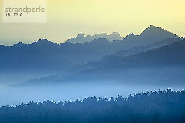 Glarner Alpen mit Mürtschenstock  Blick von Wädenswil  Schweiz  Europa