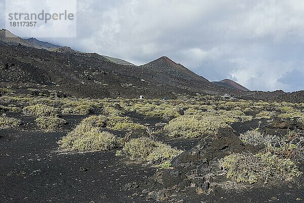 Punta de Fuencalinte  La Palma  Spanien  Europa