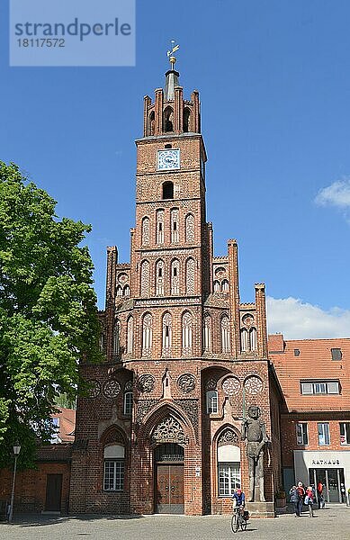 Rathaus  Altstädtischer Markt  Brandenburg an der Havel  Brandenburg  Deutschland  Europa