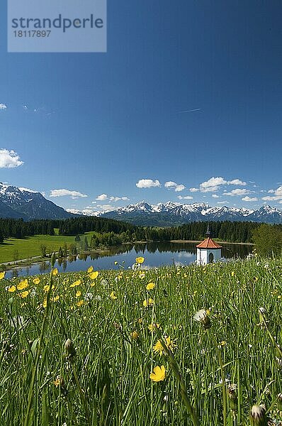 Hergratsrieder See  Ostallgäu  Allgäu  Bayern  Deutschland  Europa