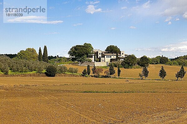 Herrenhaus mit Olivenbäumen und Zypressen  Siena  Crete Senesi  Toscana  Toskana  Italien  Europa