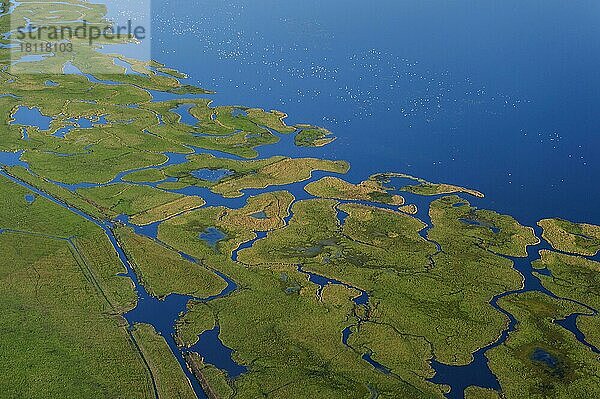 Großer Kirr  Kranichrastpaltz  Nationalpark Vorpommersche Boddenlandschaft  Ostsee  Ostseeküste  Priel  Salzwiesen  Schutzgebiet  Mecklenburg-Vorpommern  Deutschland  Europa