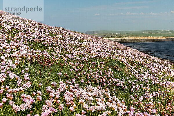 Brouch of Birsay  Orkney  Schottland  Großbritannien  Europa