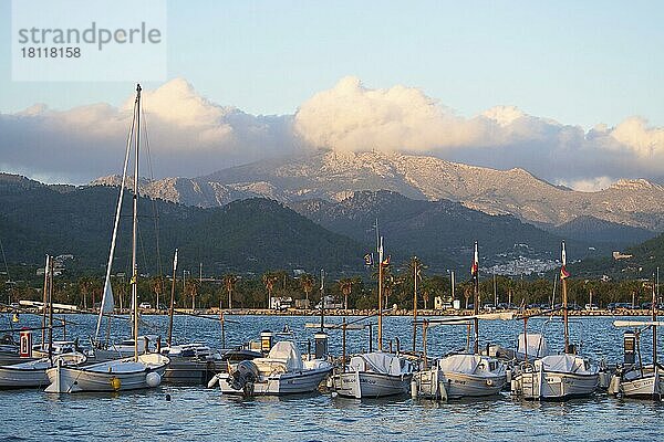 Fischerhafen von Port d'Andratx  Mallorca  Balearen  Spanien  Europa