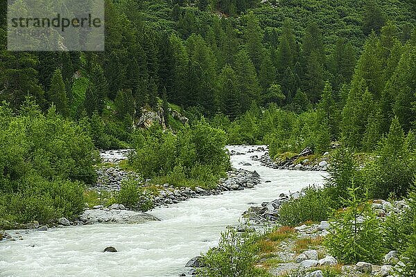 GletscherFluss  Morteratsch-Tal  Graubünden  Schweiz  Europa