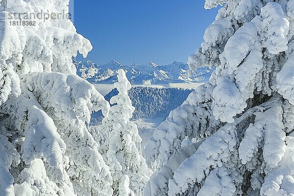 Blick von der Rigi  Glarner Alpen  Schweiz  Europa