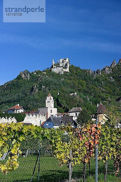 Ruine Dürnstein  Weinberge  Dürnstein  Wachau  Österreich  Europa