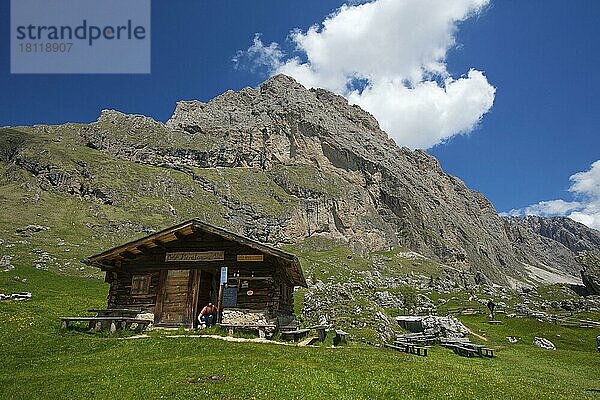 Malga-Alm unterhalb der Geislerspitzen  Seceda  Grödnertal  Dolomiten  Trentino Südtirol  Italien  Europa